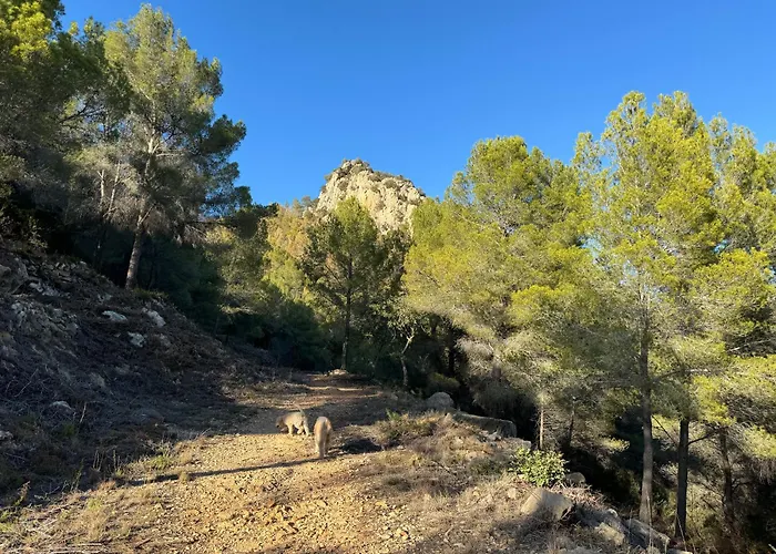 Βίλα Magic Dream Seaview With 2 Pools, Bbq, Airco, Wifi